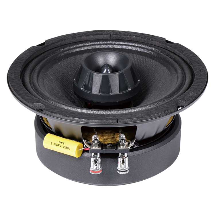 2 way pro audio 6.5 inch Coaxial Mid-Range Loudspeaker with Built-in Bullet Tweeter